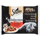 SHEBA SELECTION Šťavnatý výber v šťave 4 x 85 g