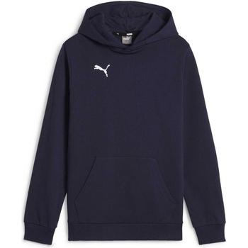 PUMA Teamgoal casuals hoody jr 152