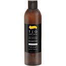 Teotema Argan ultra hydratační šampon 250 ml