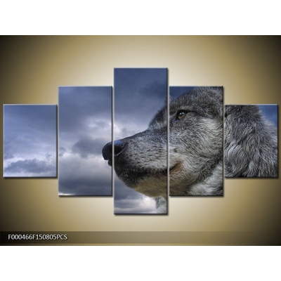 Moderní obraz F000466F150805PCS (Pětidílný 150x80 cm)