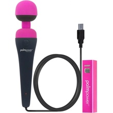 PalmPower wand USB massager with powerbank