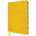 Vincent Van Gogh: Sunflowers Artisan Art Pocket Notebook