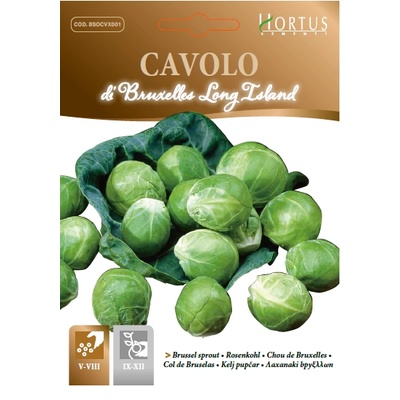 Hortus Брюкселско зеле Лонг Айлънд
