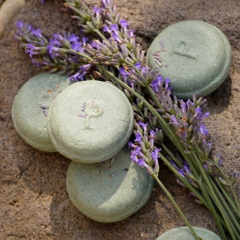 Ponio Ponio Tuhý kopřivový šampón Dvojitá levandule 30g