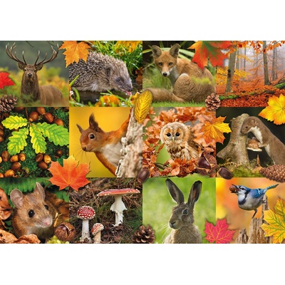 Jumbo - Puzzle Autumn Animals - 1 000 piese