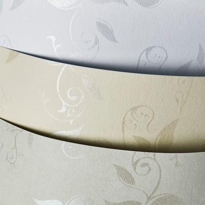 Galeria Papieru Ozdobný papír Liana ivory 230g 20ks GP08LK50IV