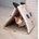 Ferplast Pyramid - Котешка къща Пирамида, 43 x 39 x h 38 см