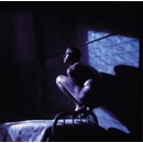 GABRIEL PETER: BIRDY CD
