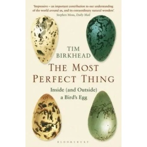 Most Perfect Thing | Tim Birkhead (ISBN: 9781408851272)