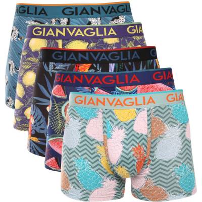Gianvaglia Набор от пет - мъжки боксерки Gianvaglia многоцветни Gianvaglia | Zelen Mnogotsveten | МЪЖЕ | XL