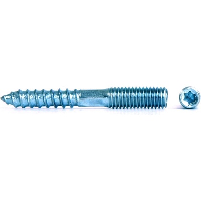 Kombišroub s Torxem Zn DIN 88149 - M10x100 – Hledejceny.cz