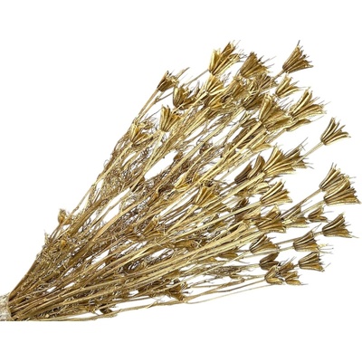 Sušené kvety metalické Černuška - Nigella orientalis 130g - zlaté