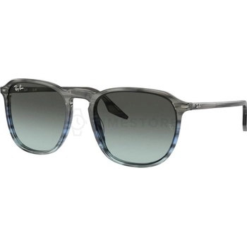 Ray-Ban RB2203 1391GK
