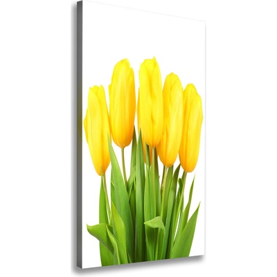 Vertikálny foto obraz na plátne Žlté tulipány 50x100 cm