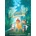 Bambi 2 DVD
