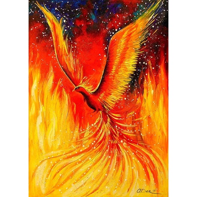 Enjoy - Puzzle Phoenix Bird - 1 000 piese