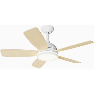 Aigostar AI1571