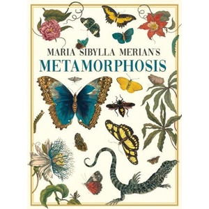 Maria Sibylla Merian's Metamorphosis | Maria Sibylla Merian (ISBN: 9781528773423)