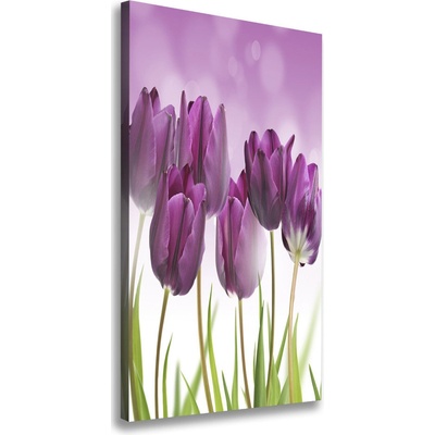 Vertikálny foto obraz na plátne Fialové tulipány 50x100 cm