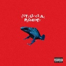 WATERPARKS - INTELLECTUAL PROPERTY CD
