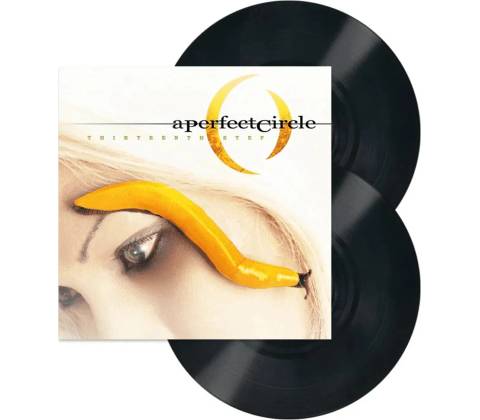 A PERFECT CIRCLE: THIRTEENTH STEP LP