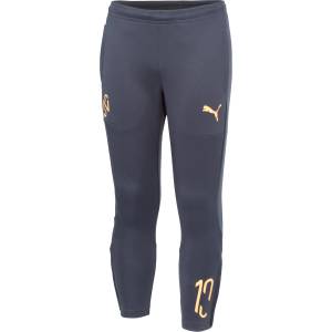 PUMA Спортно долнище NEYMAR JR Flare Training Jr