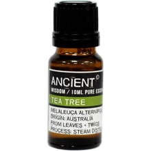 Ancient Tea Tree Esenciální Olej 10 ml