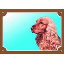 Dafiko Tabuľka koker anglický zlatý 1 ks