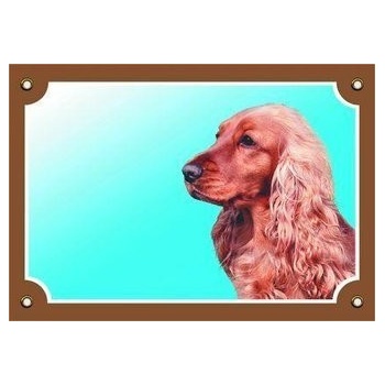 Dafiko Tabuľka koker anglický zlatý 1 ks