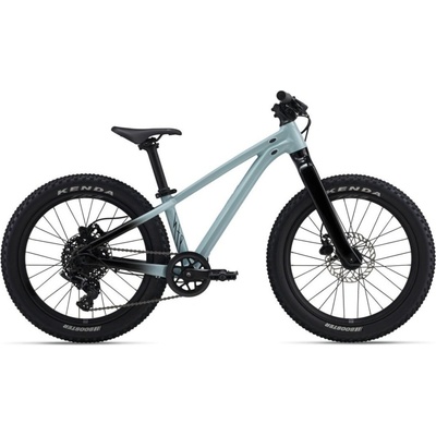 Giant STP 20 2026