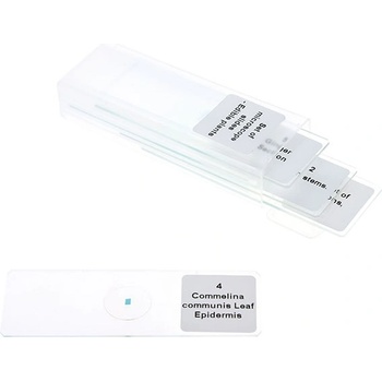 Комплект микроскопски препарати - ядливи растения