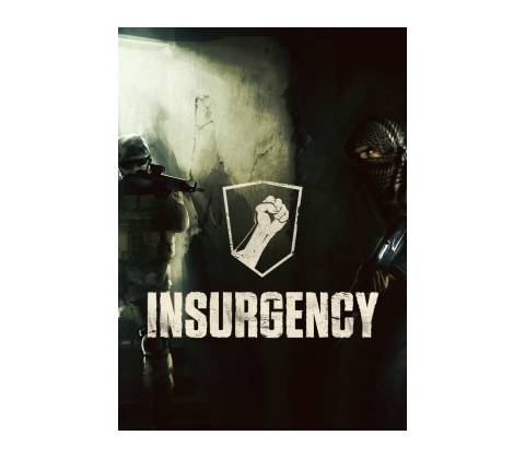 Insurgency