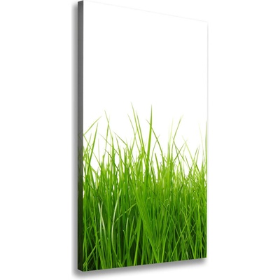 Vertikálny foto obraz na plátne Zelená tráva 50x100 cm