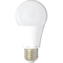 Ecolite LED žárovka -E27- 10W denní bílá