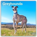 Browntrout Verlags GmbH Greyhounds - Windhunde 2026 - 16-Monatskalender | BrownTrout Publishers Inc