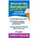 Webber Naturals Lactase Enzyme [60 капсули]