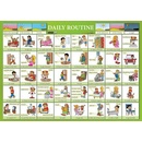 Karta Daily Routine