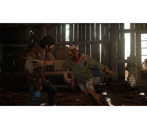 Days Gone