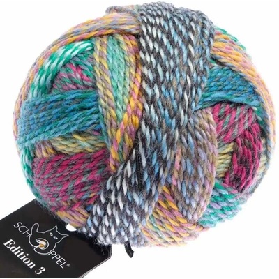 Schoppel wolle Edition 3 2511 All inclusiv