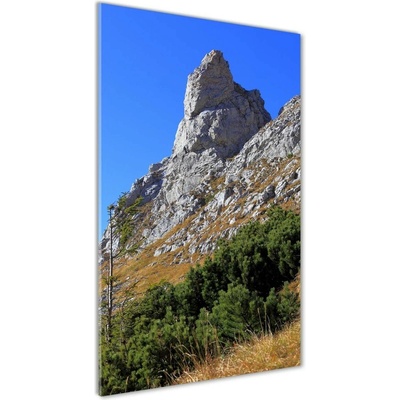 Vertikálny foto obraz fotografie na skle Malý Giewont Tatry 50x100 cm