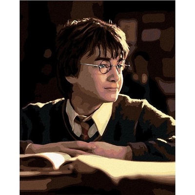 zuty Malování Podle Čísel Harry Potter S Knihou 40 x 50 Cm Plátno