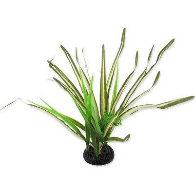 Repti planet Rostlina travina Spartina 30 cm