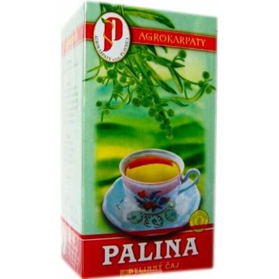 Agrokarpaty Pelyněk pravý čaj 20 x 2 g