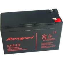 Alarmguard 12V 7Ah 105A