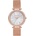 Michael Kors MK4519