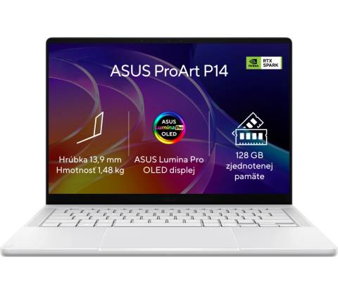 Asus ProArt P14 H7407BA-OLED253X