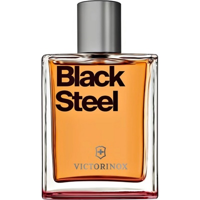 Victorinox Black Steel toaletná voda pánska 100 ml