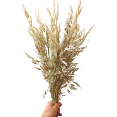 Sušený oves divoký natural svazek 180g