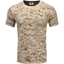 Base Layer digital desert