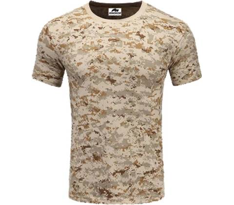 Base Layer digital desert